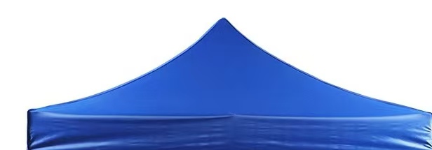17454746068597.jpg