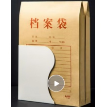 档案袋