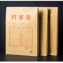 档案袋